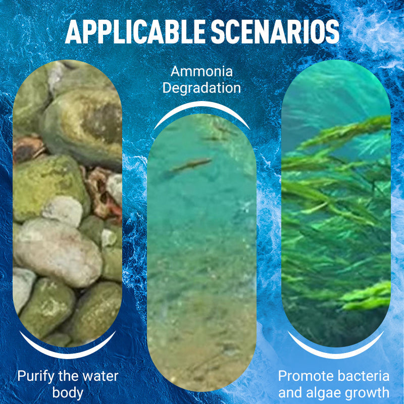 Sterk geconcentreerd EM-bacteriepoeder voor de aquacultuu