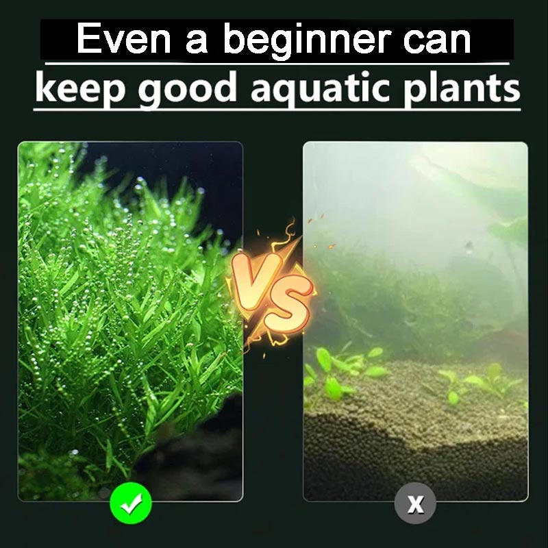 Spoelvrije Bodem voor Waterplanten 💧🌿