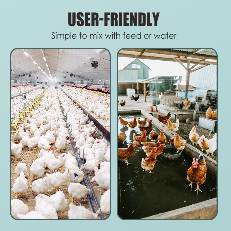 Voedingssupplement voor het versterken van poten bij vee en pluimvee