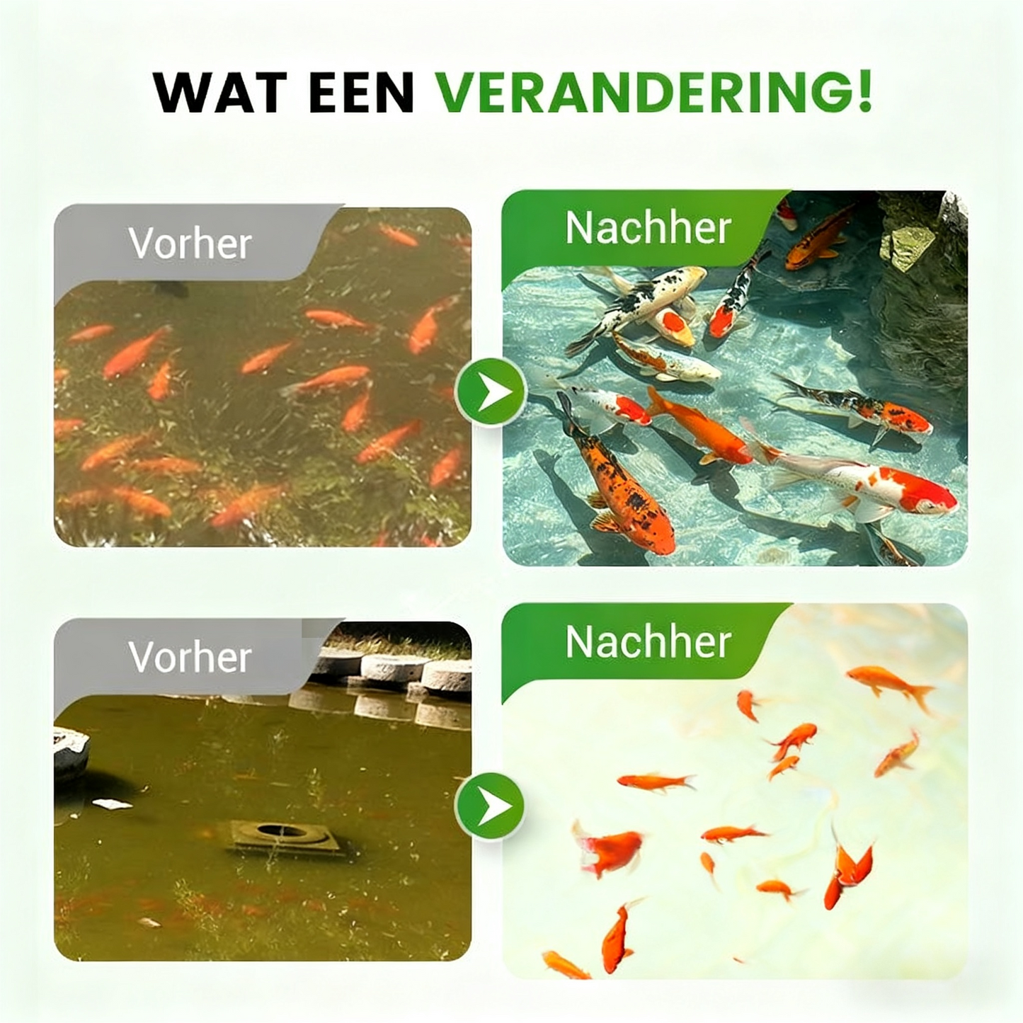 500g premium vijveronderhoudspoeder | Waterzuiveraar & algenbestrijding 🐟🌊🔬