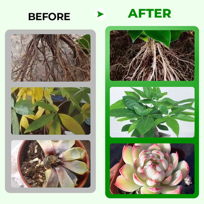 🎁 Uitverkoop 50% UIT 🔥Geconcentreerde vloeibare meststof voor alle doeleinden