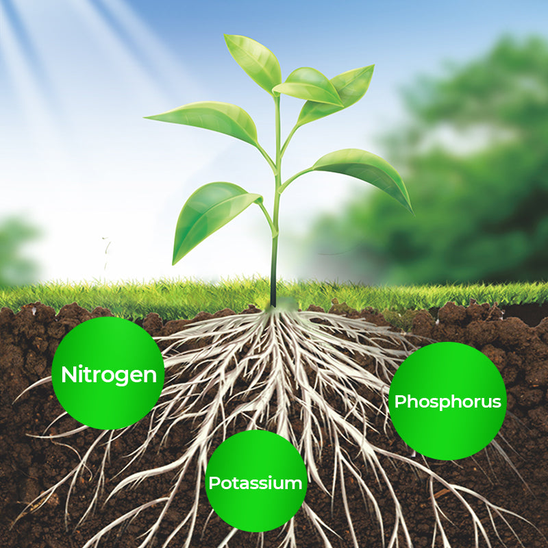 🎁 Uitverkoop 50% UIT 🔥Geconcentreerde vloeibare meststof voor alle doeleinden