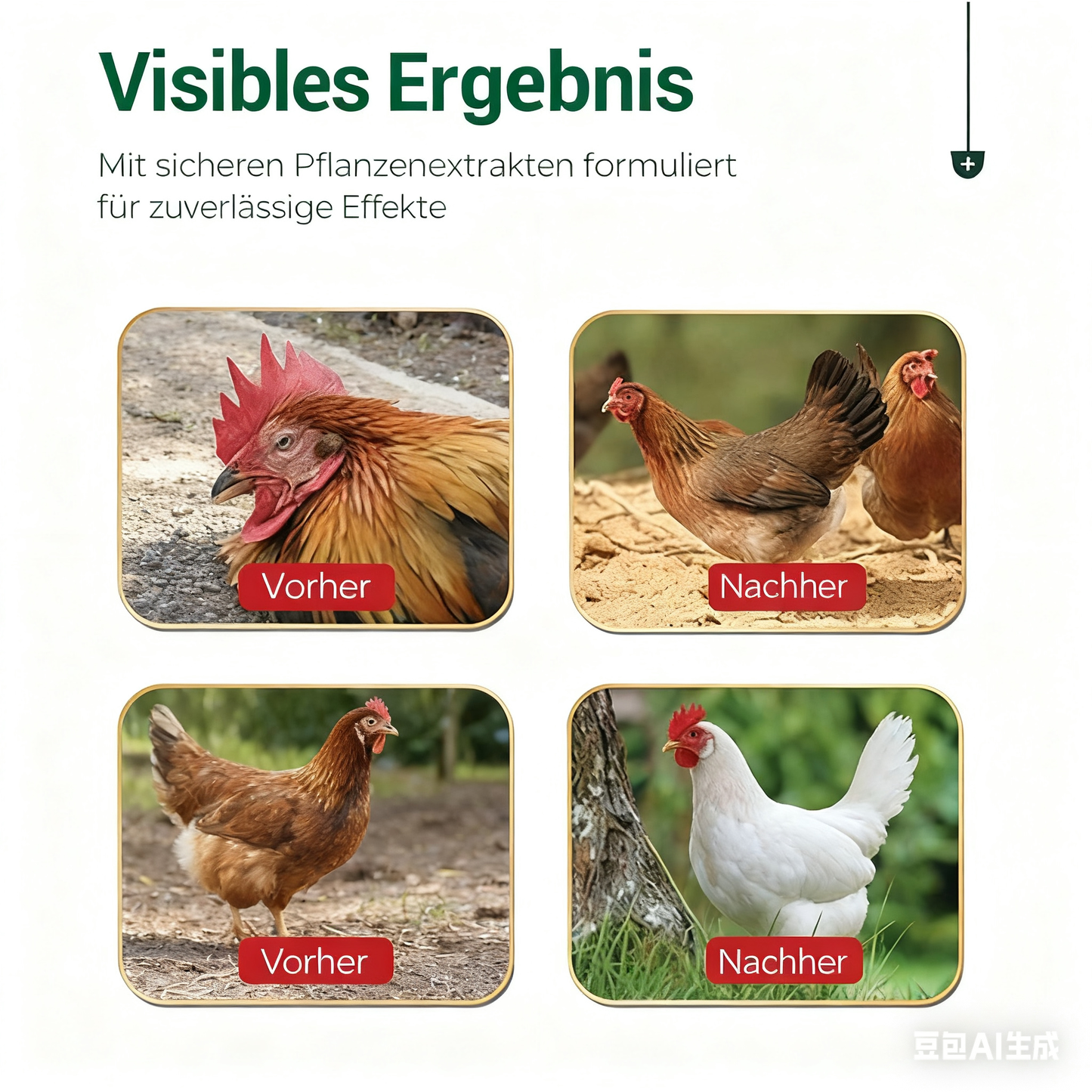 🐓Orale oplossing tegen meerdere symptomen bij pluimvee🔥💯