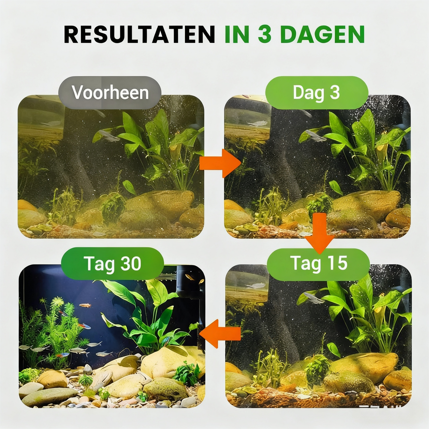 500g premium vijveronderhoudspoeder | Waterzuiveraar & algenbestrijding 🐟🌊🔬