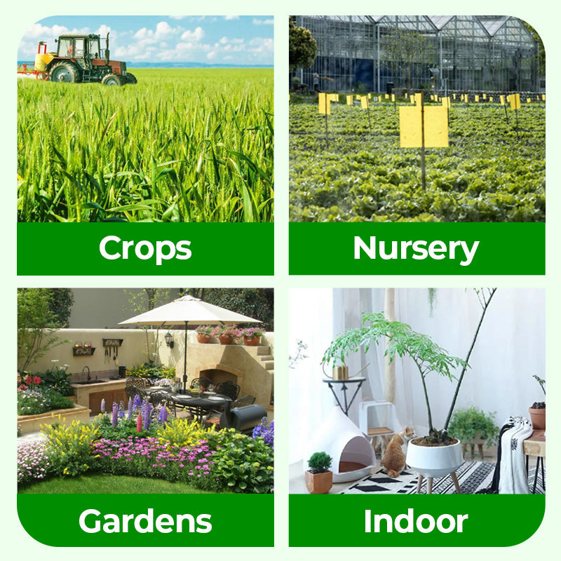 🎁 Uitverkoop 50% UIT 🔥Geconcentreerde vloeibare meststof voor alle doeleinden