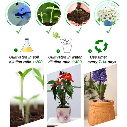 All-in-One Geconcentreerde Voedingsoplossing Meststof 💧🌿