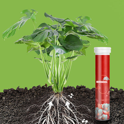 🔥 Langzaam vrijkomende meststof in tabletvorm voor planten🌱