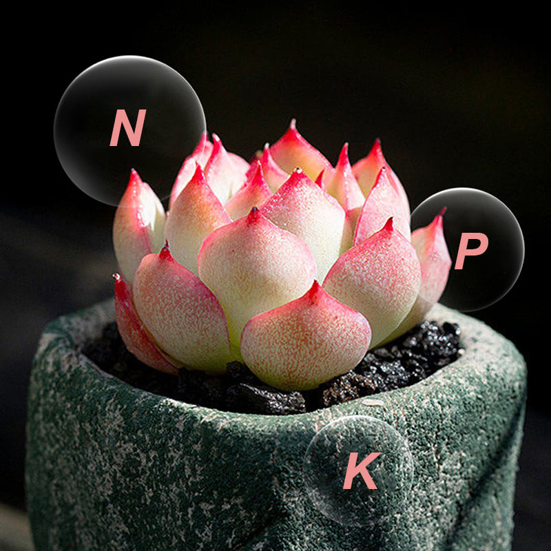 🔥 Langzaam vrijkomende meststof in tabletvorm voor planten🌱