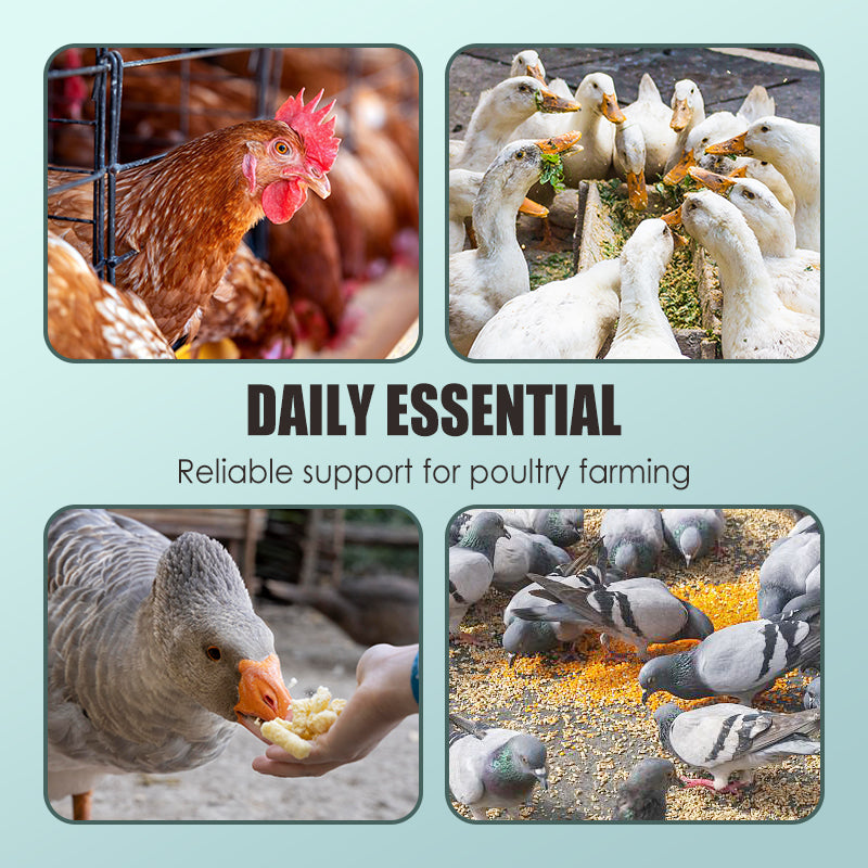 Voedingsadditieven voor de pluimveehouderij