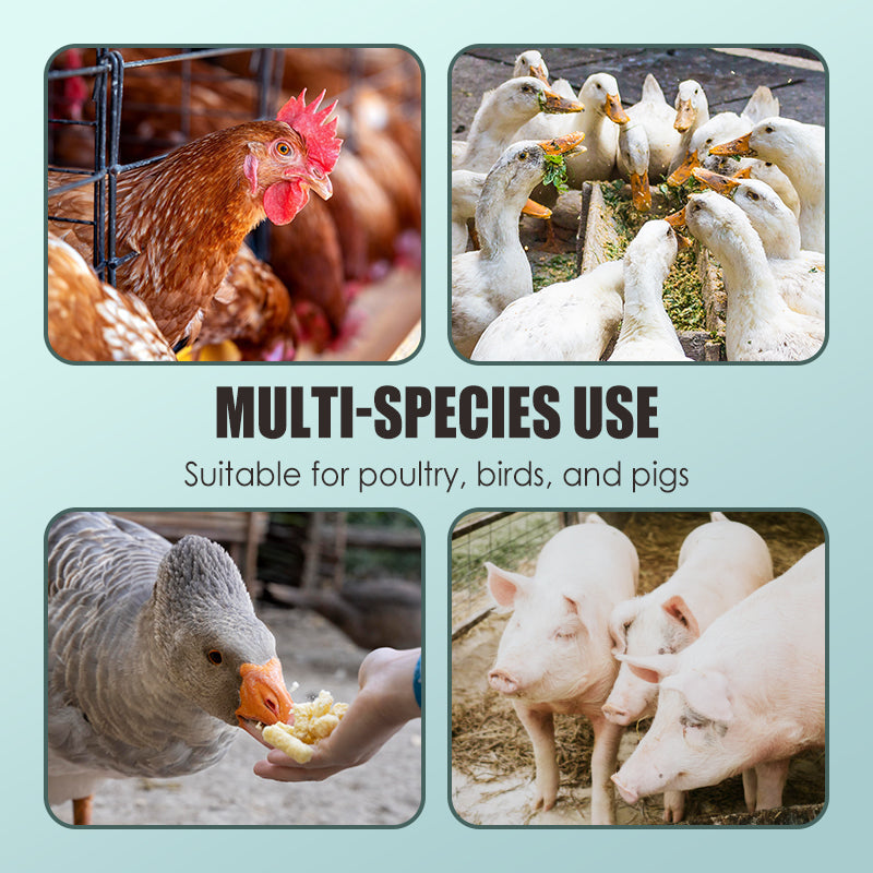 200 g anti-pluk- en bijtpoeder voor pluimvee