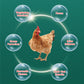 🐓Orale oplossing tegen meerdere symptomen bij pluimvee🔥💯