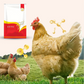 🐓Natuurlijk ontwormingsmiddel voor kippen voor inwendig en uitwendig gebruik