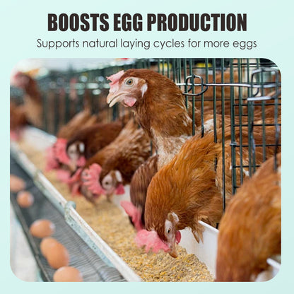 🐓🥚Ei-booster voedingssupplement