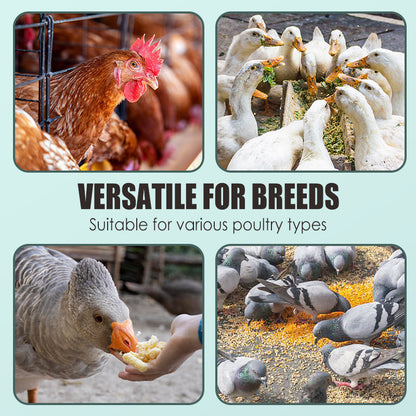 🐓🥚Ei-booster voedingssupplement