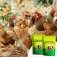 🐓🥚Ei-booster voedingssupplement