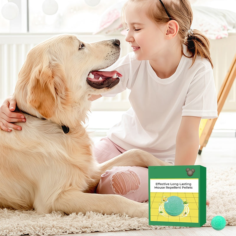 Effectieve Korrels Tegen Muizen & Ongediert - Wekenlang Beschermd! ✅🐀👋