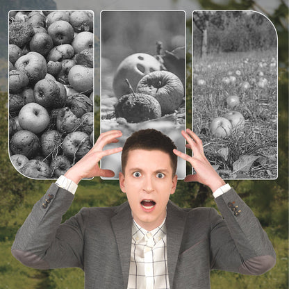 Voedingsvloeistof voor Bloei en Opbrengstverhoging