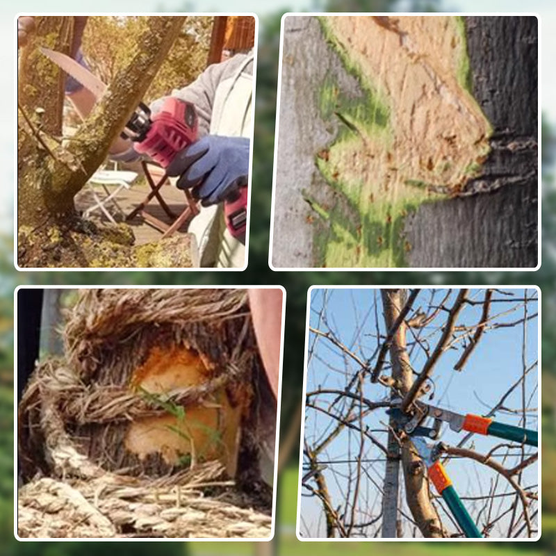 Waterdichte Boomwondsealer