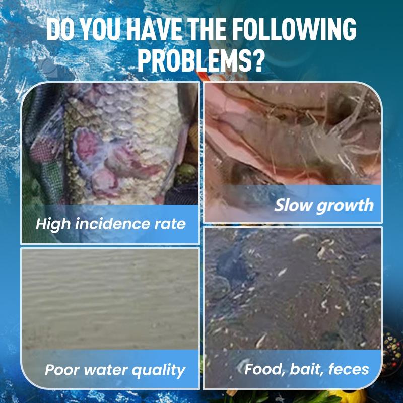 Sterk geconcentreerd EM-bacteriepoeder voor de aquacultuu