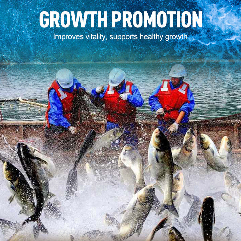 Sterk geconcentreerd EM-bacteriepoeder voor de aquacultuu