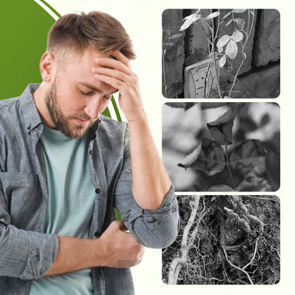 Wateroplosbare Meststof met Ziektebestrijding 💧🛡️🌱