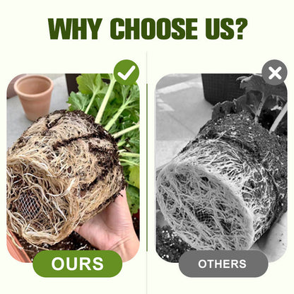 Wateroplosbare Meststof met Ziektebestrijding 💧🛡️🌱