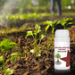 Wateroplosbare Meststof met Ziektebestrijding 💧🛡️🌱