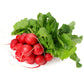 Snelgroeiende Cherry Belle Radijszaadjes