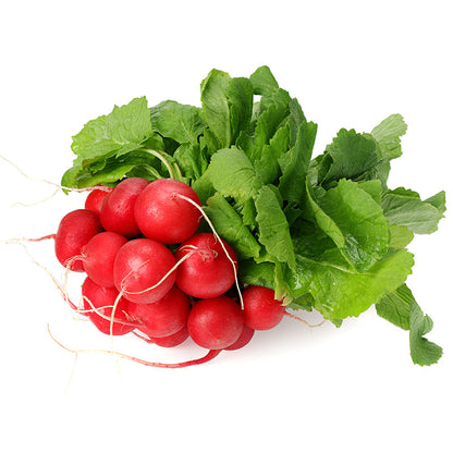 Snelgroeiende Cherry Belle Radijszaadjes