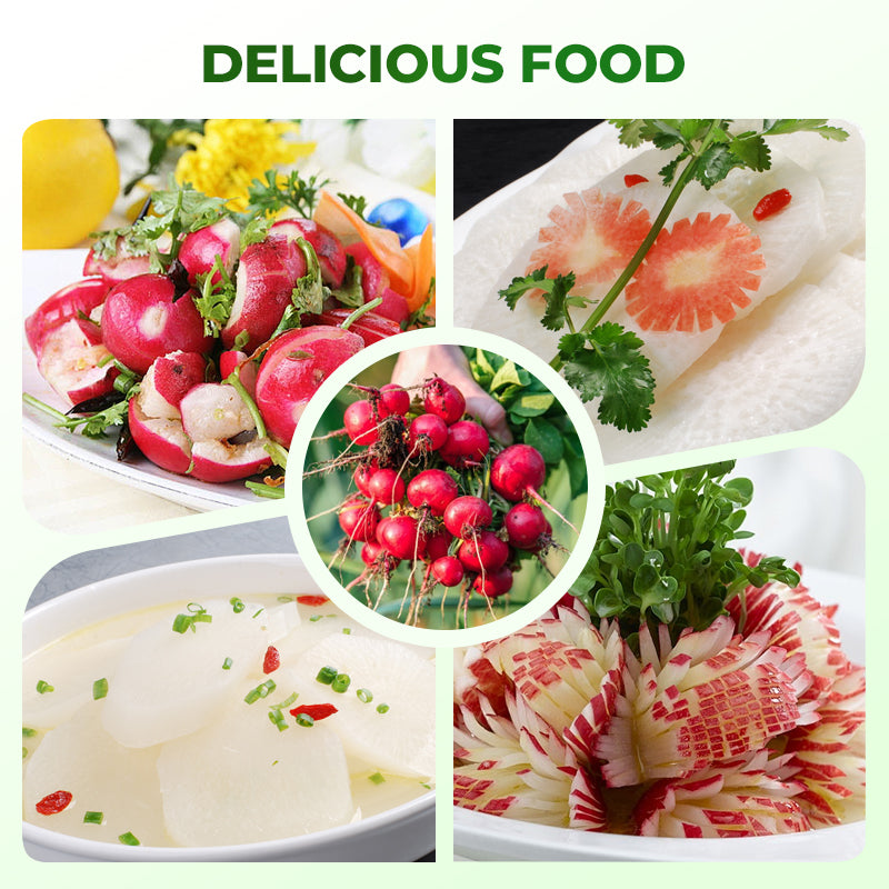 Snelgroeiende Cherry Belle Radijszaadjes