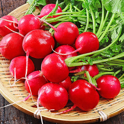 Snelgroeiende Cherry Belle Radijszaadjes