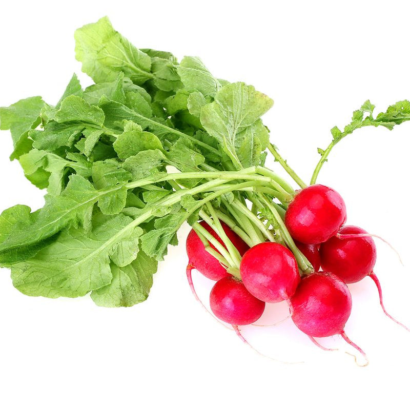 Snelgroeiende Cherry Belle Radijszaadjes