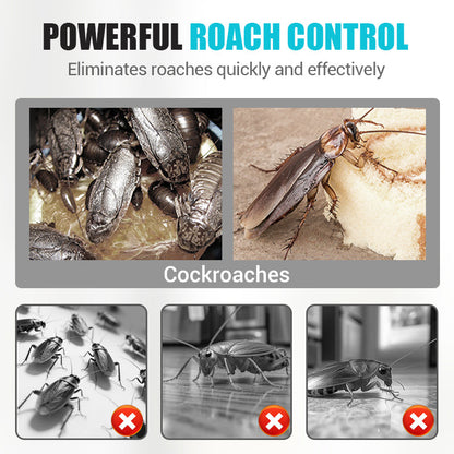 Kakkerlakkenlokaas – Alles-in-Één & Zeer Effectief ✅🚫
