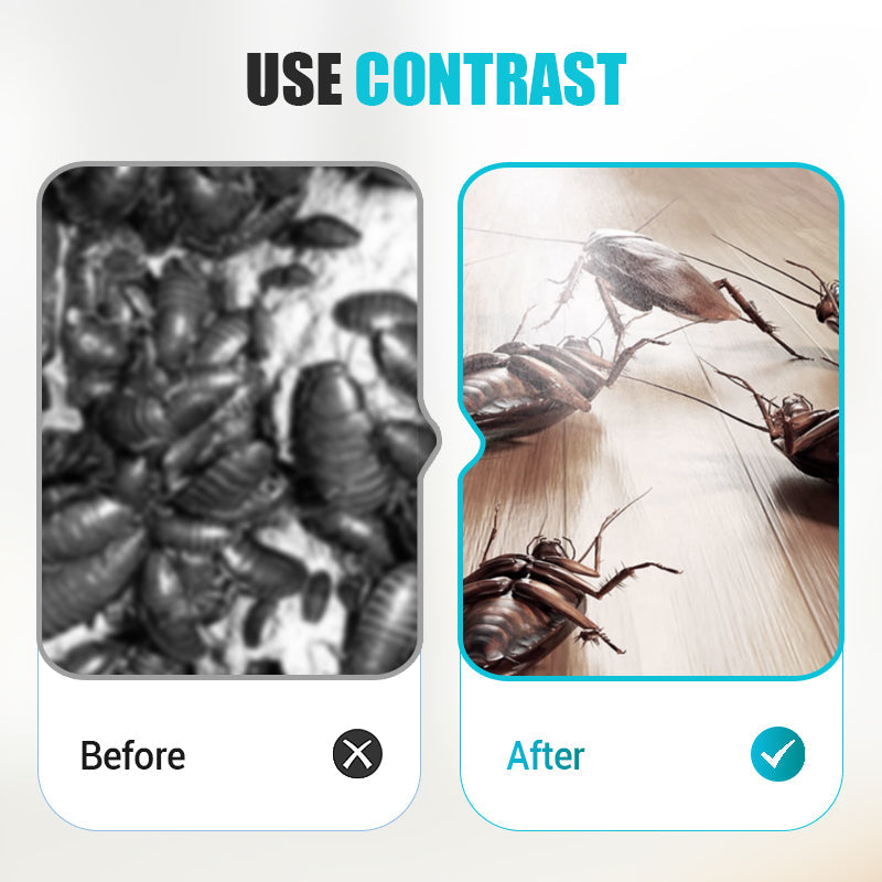 Kakkerlakkenlokaas – Alles-in-Één & Zeer Effectief ✅🚫