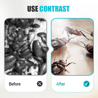 Kakkerlakkenlokaas – Alles-in-Één & Zeer Effectief ✅🚫