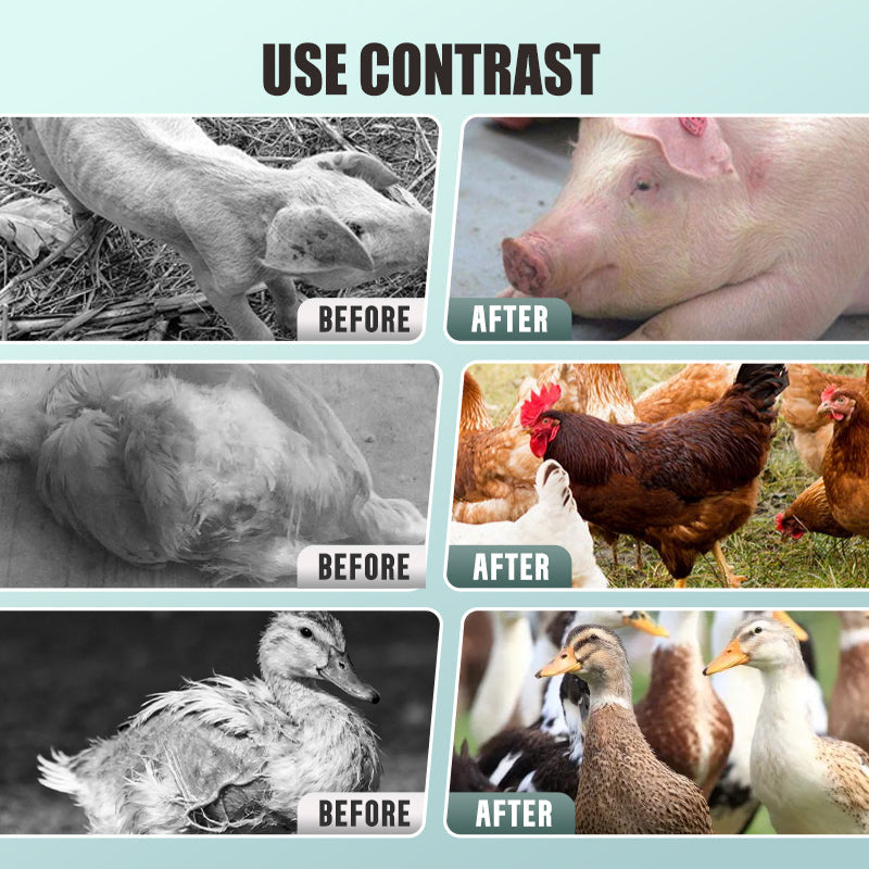 Kabeljauwleverolie Poeder voor Vee en Pluimvee