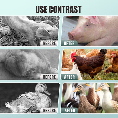 Kabeljauwleverolie Poeder voor Vee en Pluimvee