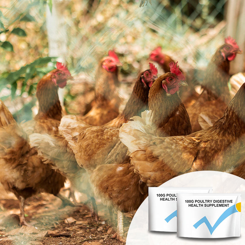 100g Voedingssupplement voor de spijsvertering van pluimvee