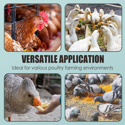 100g Voedingssupplement voor de spijsvertering van pluimvee
