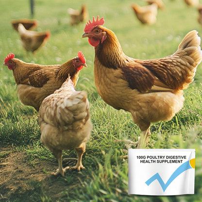 100g Voedingssupplement voor de spijsvertering van pluimvee