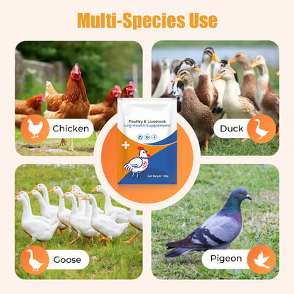 Aanvullend Voeder voor Sterke Poten - voor Pluimvee & Vee 🦵➡️💥