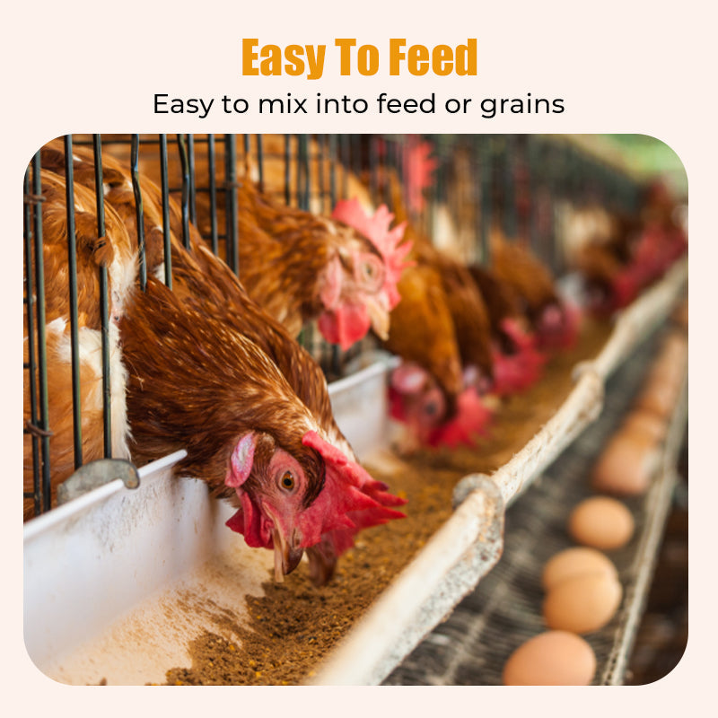 Aanvullend Voeder voor Sterke Poten - voor Pluimvee & Vee 🦵➡️💥