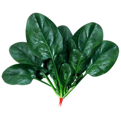 Hoogrenderende, koude- en hittebestendige spinaziezaden