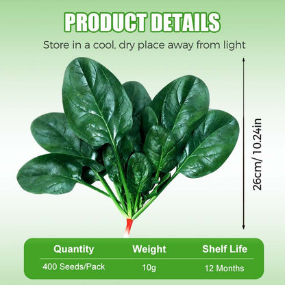 Hoogrenderende, koude- en hittebestendige spinaziezaden
