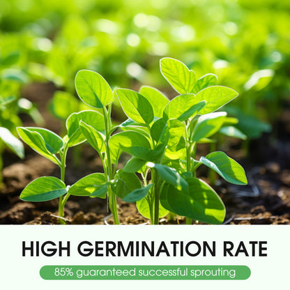 Hoogwaardig en hoogrenderend koolzaad