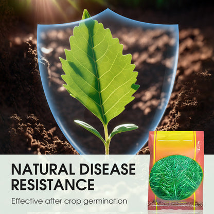 Hoogwaardig en hoogrenderend koolzaad