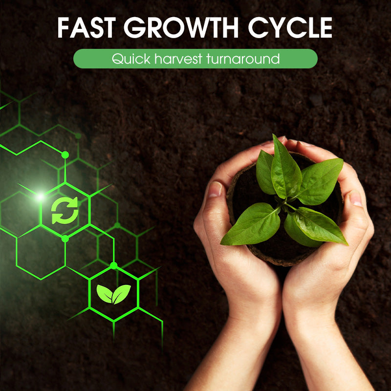 Hoogwaardig en hoogrenderend koolzaad