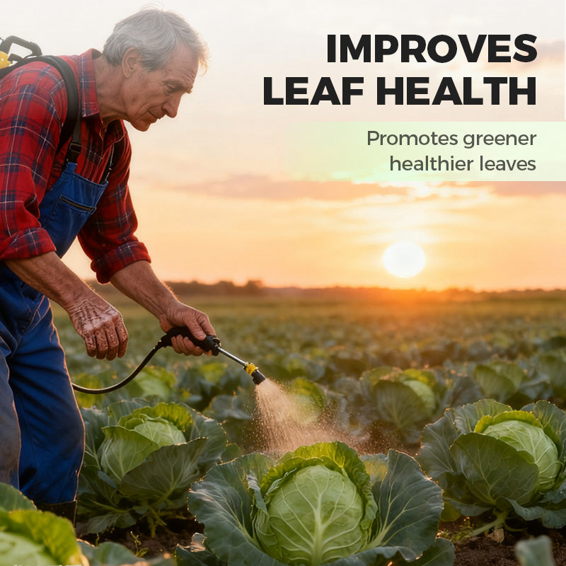 Premium Meststof voor Kool