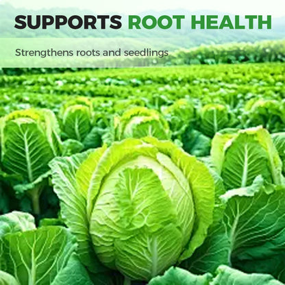 Premium Meststof voor Kool