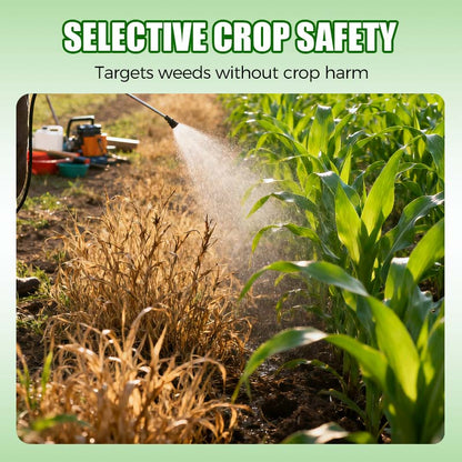 S-Metolachloor 96% voor-opkomst herbicide voor maïs en aardappelen